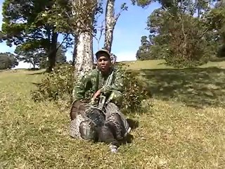 Chasing Spring - Turkey Chasing in Hawaii