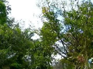 Man, Woman, Wild: Amazon Wildlife