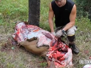 Live Hunt: How to Debone an Elk