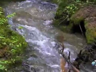 Man, Woman, Wild: Ruth Falls into Icy Cold Water