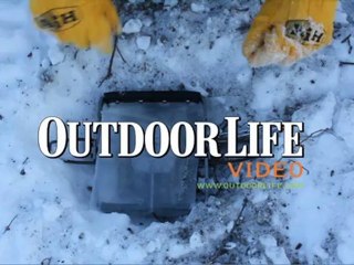 Live Hunt: How to Trap Wolves in Alaska