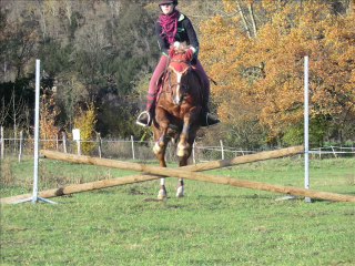 kiss cool poney mal jugé