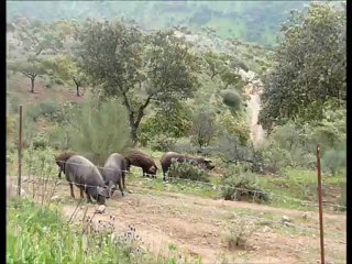 "Le Grand Marché de la Gastronomie"