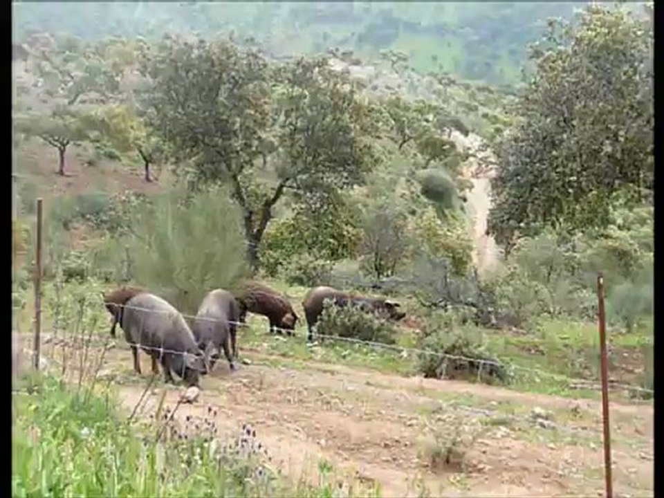 "Le Grand Marché de la Gastronomie"