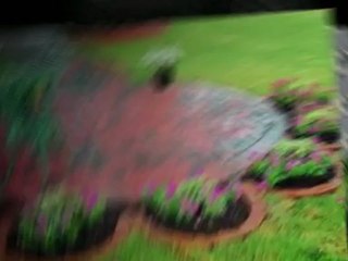 Native Arkansas Landscape and Lawn Care