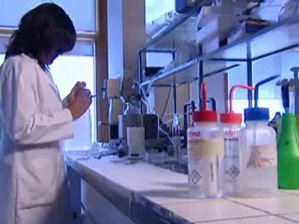 Passeport biométrique  attention danger !