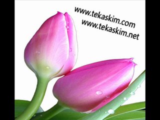 Harun Kolçak " Vurgun" - Tekaskim.com