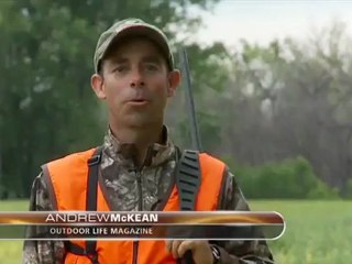 Record Quest: Live on the Hunt