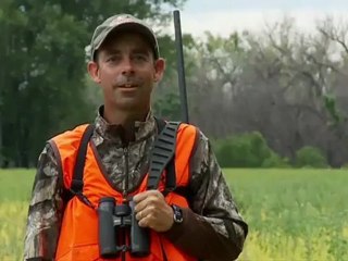 Record Quest: Recognizing Scrapes and Rubs