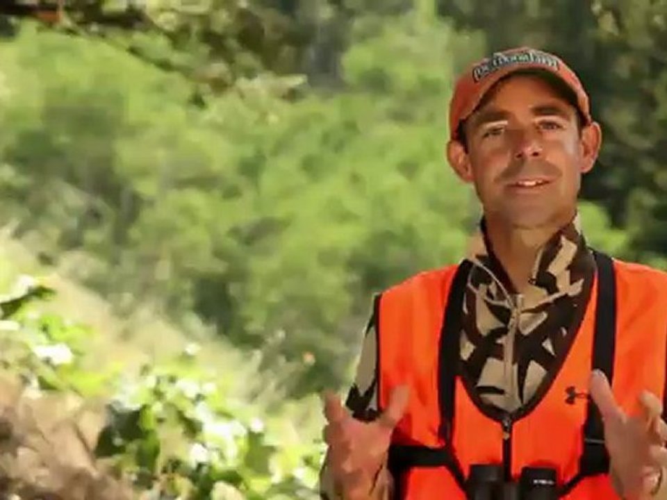 Record Quest: Intro to Elk