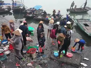 Tải video: Halong brumeux-Halong - Voyage au Vietnam, Trekking au Vietnam, Voyage de photo au Vietnam, séjours au Vietnam, hors des sentiers battus au Vietnam,Voyage sur mesure au Vietnam