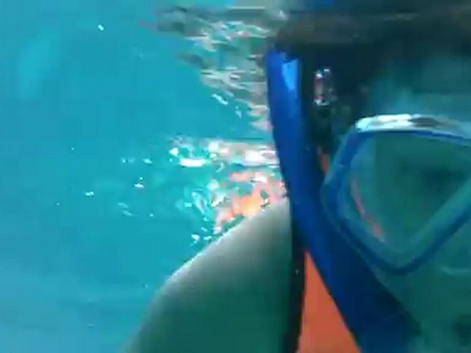 Around Phuket: Similan Island Snorkeling - TEFLPlus, Phuket, Thailand