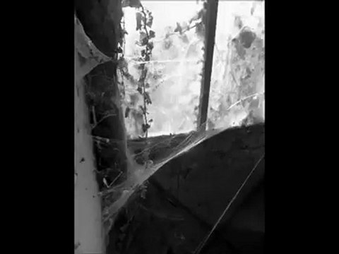 La Télé-Commande Episode 8 : Bienvenue à M.T Land! - UNE VISITE-GUIDEE A M.T LAND.