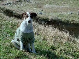 My.Girl.and.I.2005.part6