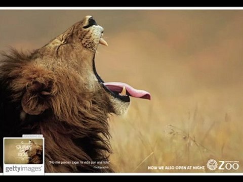 Complot Escuela de Creativos - Getty Images 9DiaC