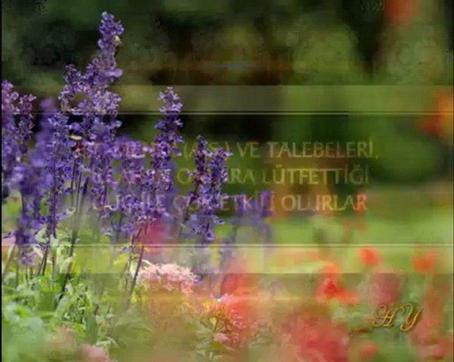 HZ. MEHDİ'NİN TALEBELERİ 6. BÖLÜM