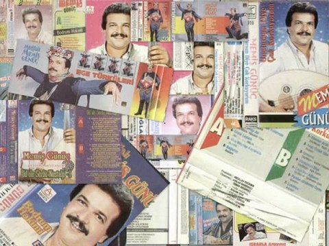 MUĞLALI MEMİŞ GÜNÜÇ-HAM MEYVA