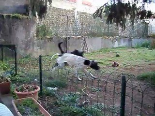 garou et felina 19 avril 2012 002