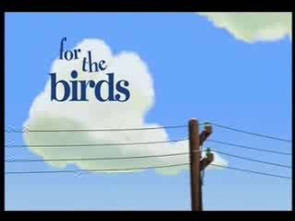 Stupid oiseau