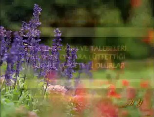 HZ. MEHDİ'NİN TALEBELERİ 6. BÖLÜM