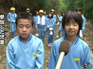 シコクカッコソウ保存へ　坂本小児童が移植 20120418