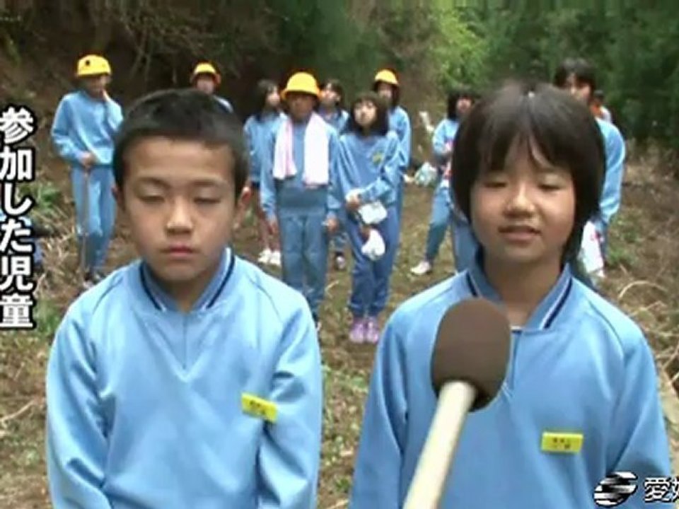 シコクカッコソウ保存へ　坂本小児童が移植 20120418