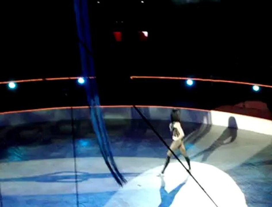 BERNADETT STOCK-aerial acts-presents Art agency Valentino