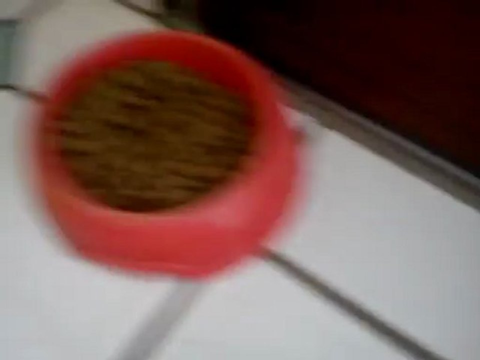 Invasion !