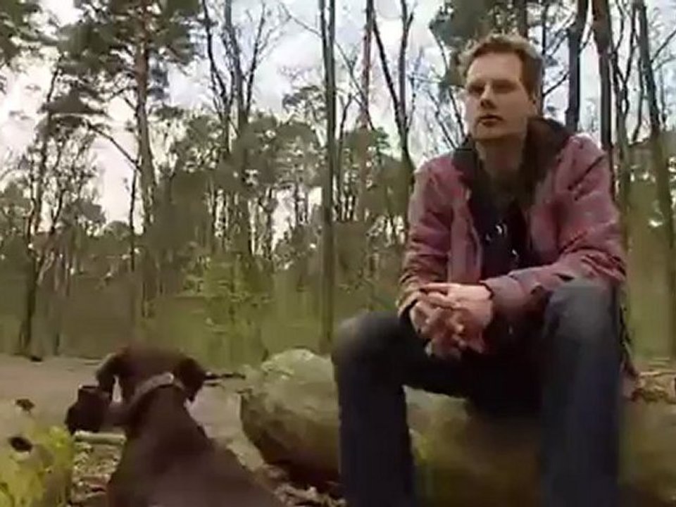 Best Behavior - Berlin's plans to license dog owners | People