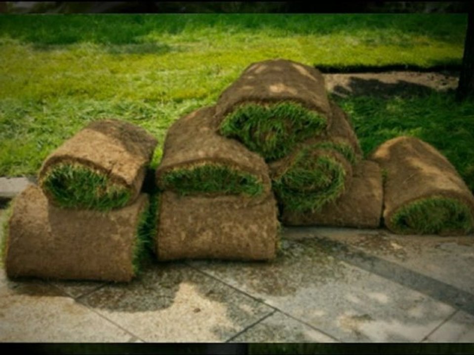 Pro Lawn & Landscaping