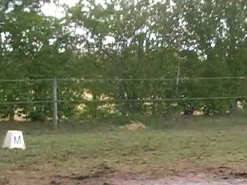 CCE dressage 2e partie