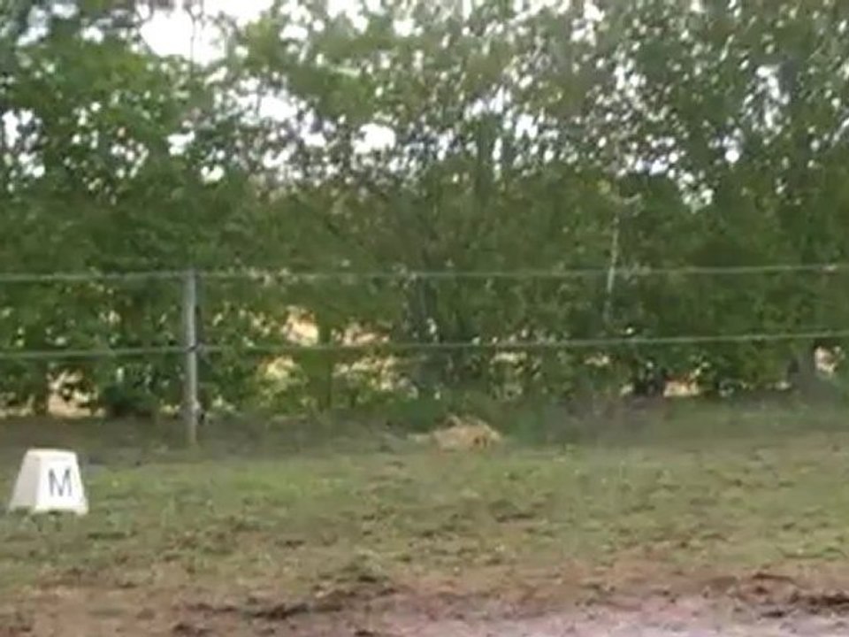 CCE dressage 2e partie