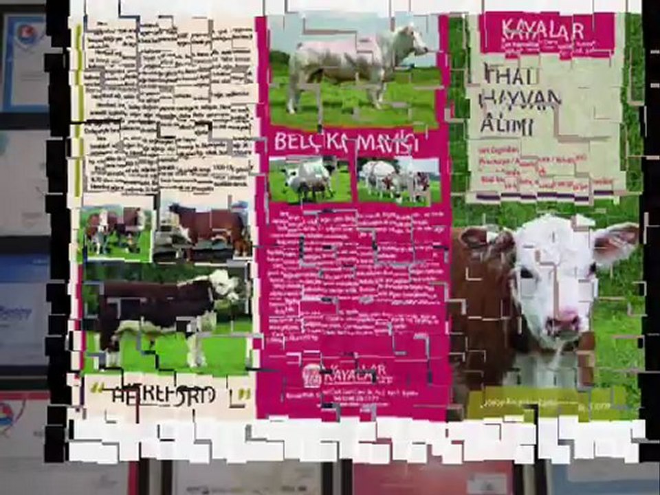 İTHAL HAYVAN KAYALAR DANIŞMANLIK TLF:0248 234 11 77