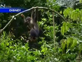 News Channel Morning Edition: April 20, 2012     - CBN.com