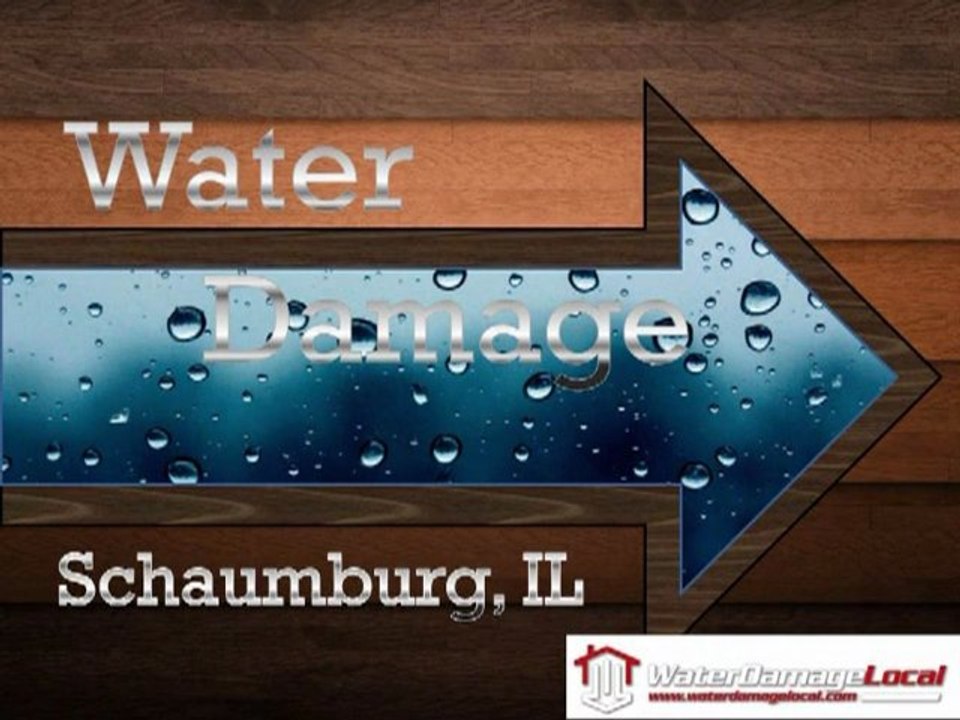 Schaumburg, IL - Water Damage