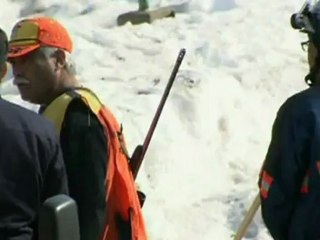 Bears escape from zoo in Japan