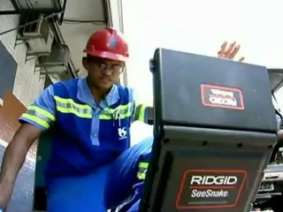 leo de Cozinha   Veja os estragos que causa