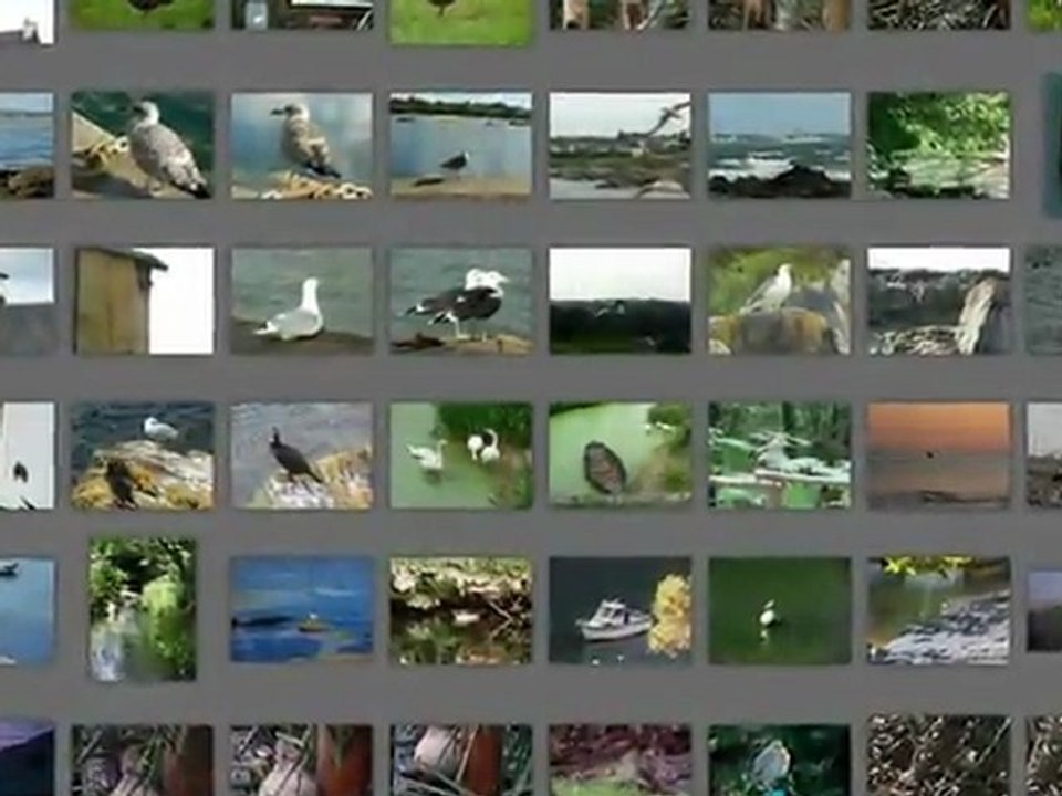 Relaxations chants d'oiseaux avec musique et photos