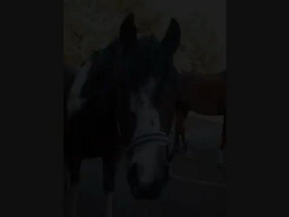 Merci ...