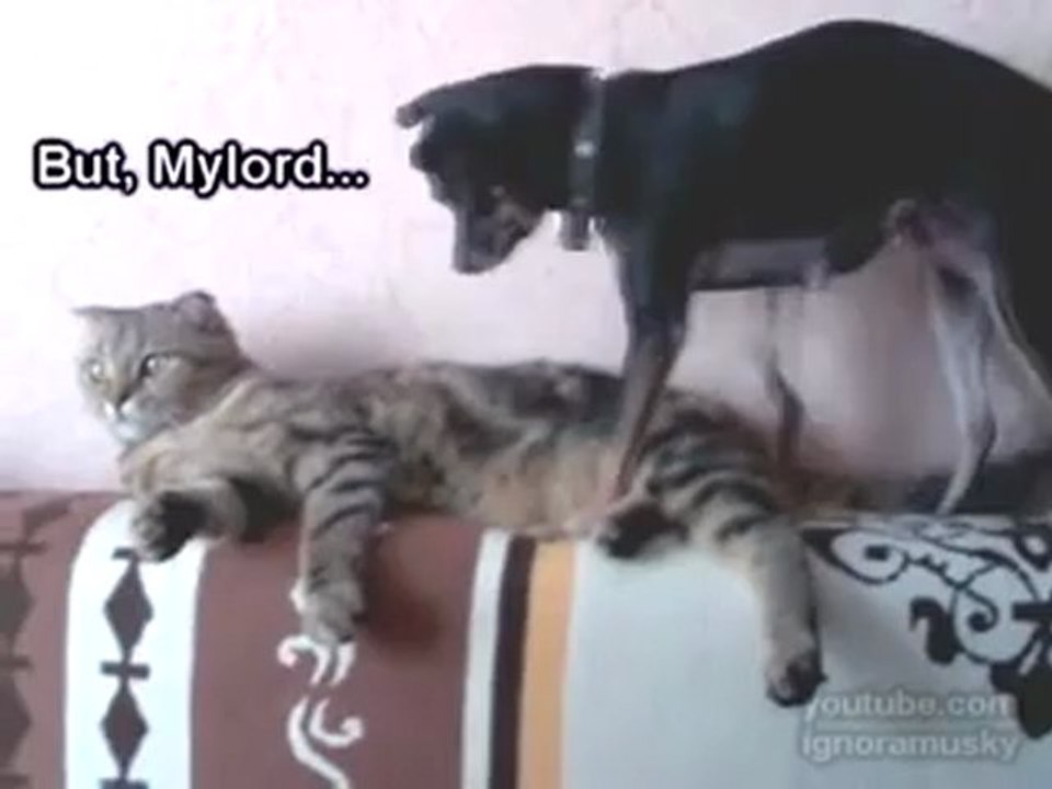 chat et son esclave