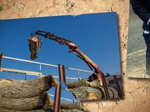 Stump Grinders - (315)794-8137