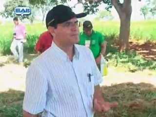 Agro Mais do dia 20-04-2012