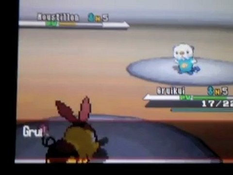 Gruikui Shiney - 76h de reset (4600 resets environ)