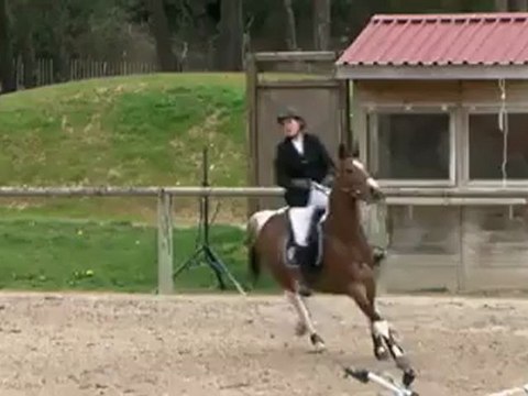 Tirelire fontainebleau J2 CL 5ans 2eme année