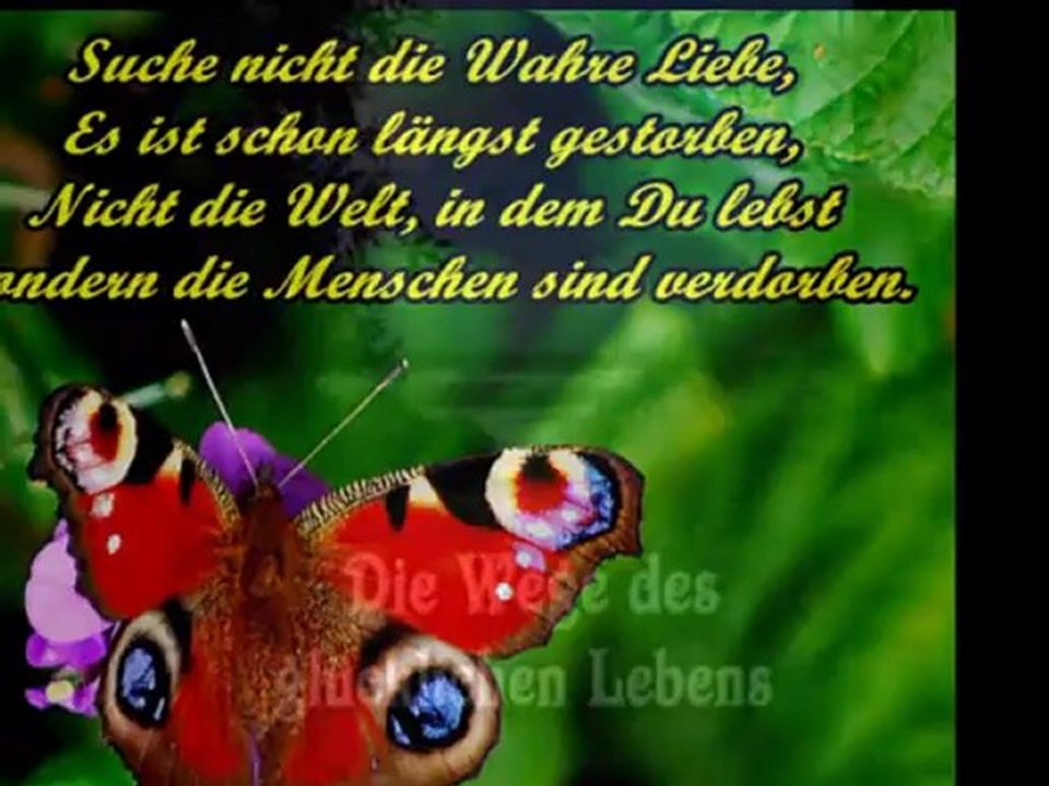 Die wege des glücklichen lebens - Önder demir