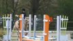 concours d'hunter du 15/04/12 en club poney 1