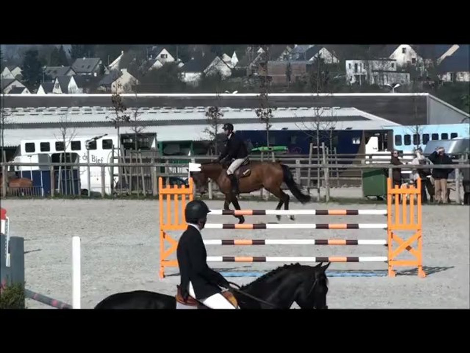 Ukko  Diams des Edènes Préparatoire 4 ans st lô 3avril 2012