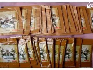 Icaro Tv. Figurine degli animali. caccia al numero