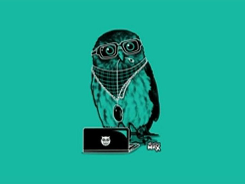 LMFAO+-+Sorry+For+Party+Rocking+(Wolfgang+Gartner+Remix)_001_x264