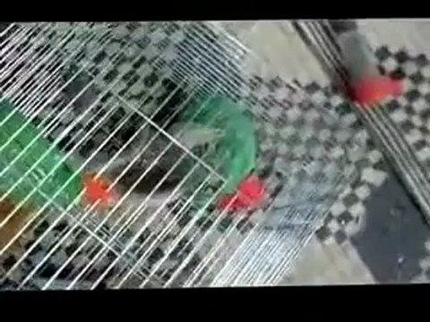 فري برس حمص الحولة أحد المنازل المتضررة من القصف الهمجي لعصابات الاسد 20 4 2012 Homs